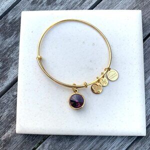 Alex and Ani – February Birthstone Bangle (Amethyst) – Shiny Gold Finish Expands
